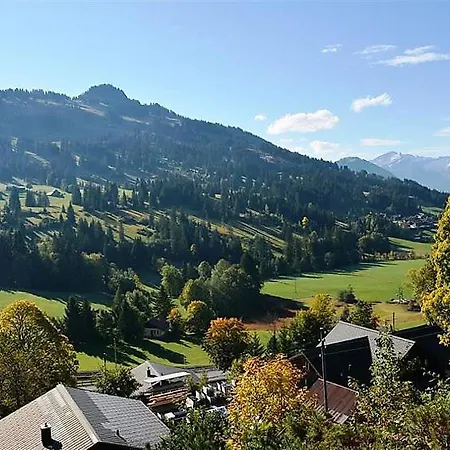 Apartment Saanenmoser Sleeps 9 *